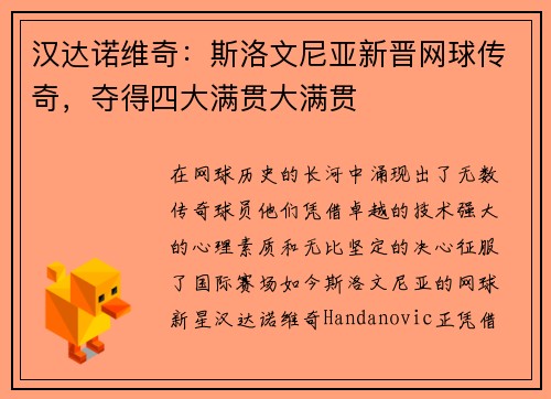汉达诺维奇：斯洛文尼亚新晋网球传奇，夺得四大满贯大满贯